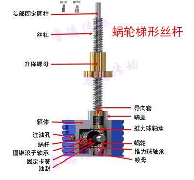 蝸輪提升<a href='/default.html'>絲桿升降機(jī)</a>